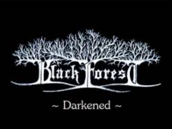 Black Forest (AUT) : Darkened Demo